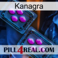 Kanagra 03